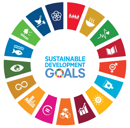 United Nations Sustainable Development Goals wheel logo